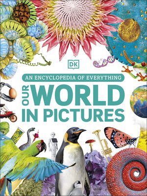cover image of Our World in Pictures